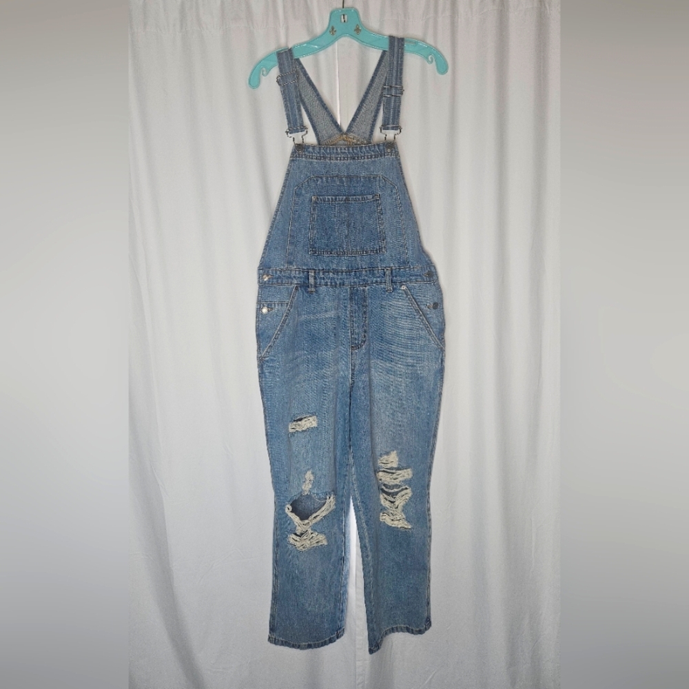 Wild Fable Distressed Overalls